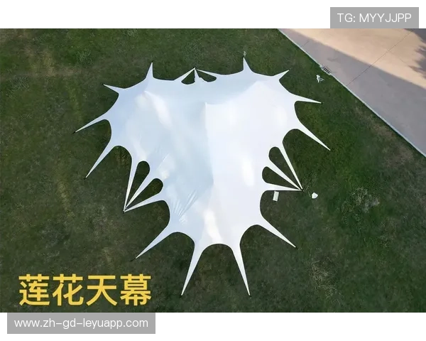 _天幕空中滑索：城市空中极速穿梭_，天幕技巧