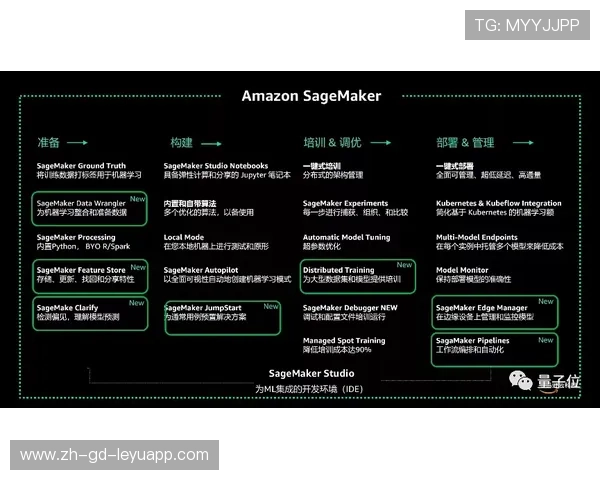 _未来能量鞋：智能科技助跑不停歇_，未来人类能量的来源