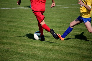 乐鱼体育官网入口-世界男子排球联赛意大利主场折桂，意大利男子排球联赛直播