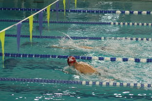 乐鱼体育下载-世界青少年游泳接力锦标赛中国队强势出击，世界游泳锦标赛接力决赛