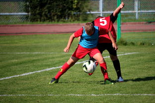 乐鱼网官网进入-中国足球俱乐部运营效率调查，中国足球俱乐部运营效率调查问卷