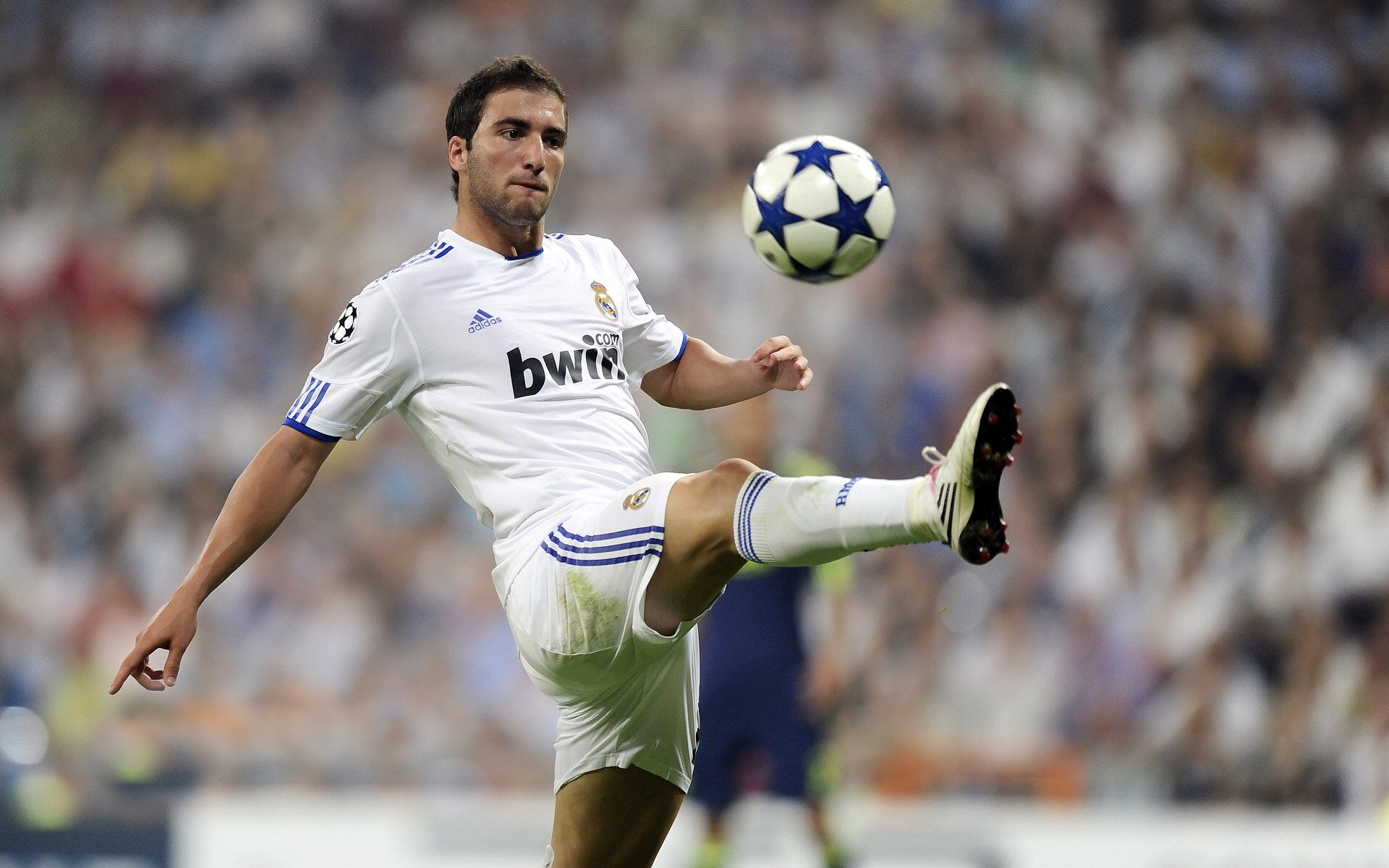 直播系统新增专业术语注释功能便利观众，直播功能介绍